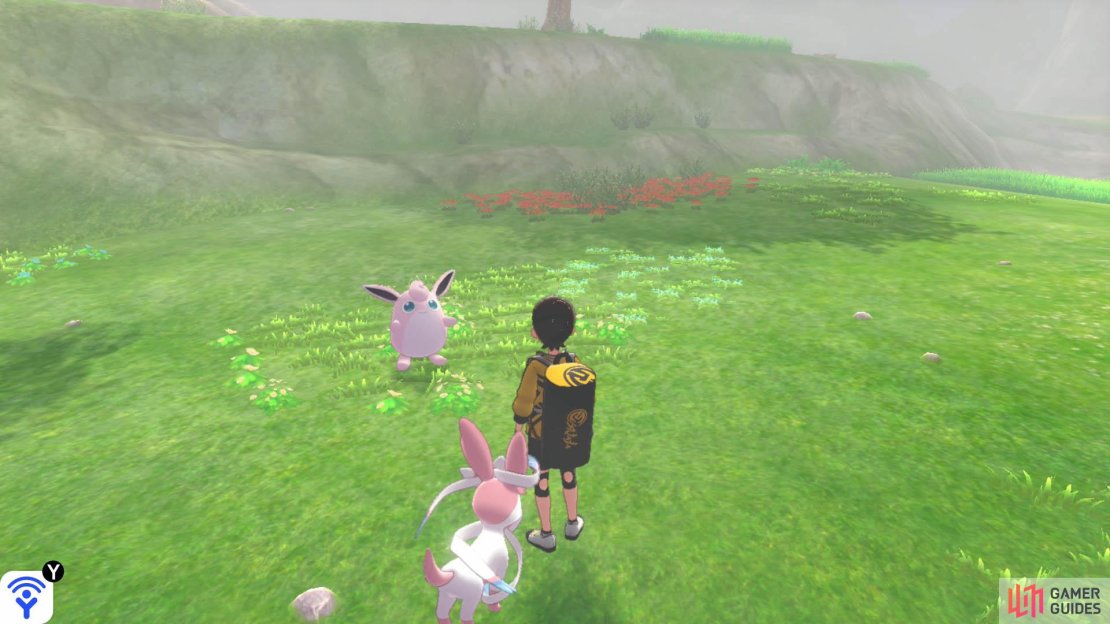 Grab yourself a Wigglytuff when there&rsquo;s fog hanging in the area.