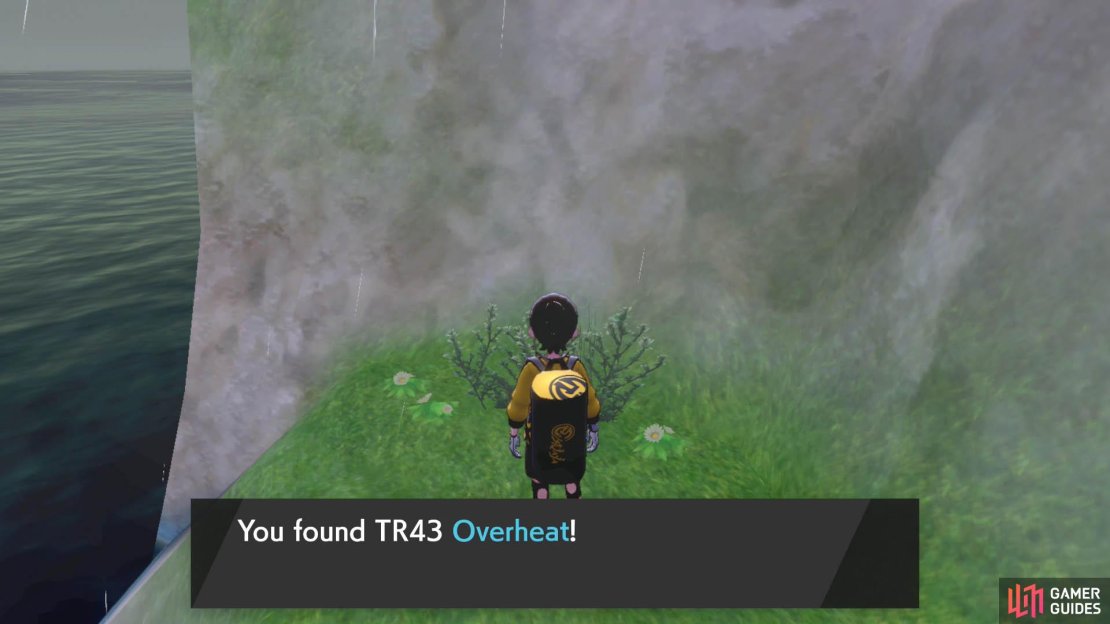 Overheat deals hefty Fire-type damage, but lowers the user&rsquo;s Special Attack.