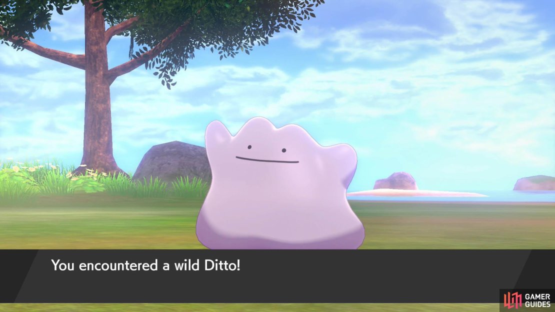 Ditto can breed with any Pok&eacute;mon that can normally breed. For some Pok&eacute;mon without genders, Ditto is required to breed them.