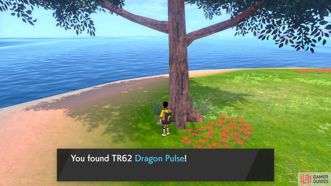 Dragon Pulse has no special effects, but it&rsquo;s reliable at the very least.
