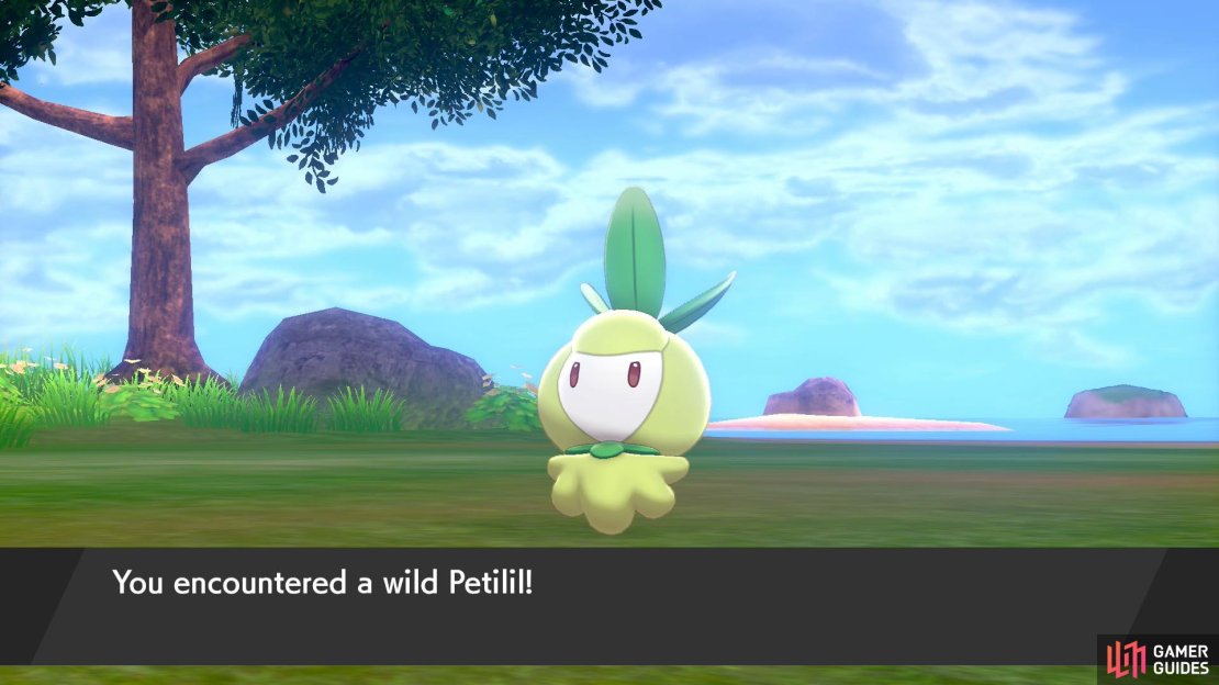 There&rsquo;s not much lurking inside the tall grass, but at least Petilil is an adorable sight.