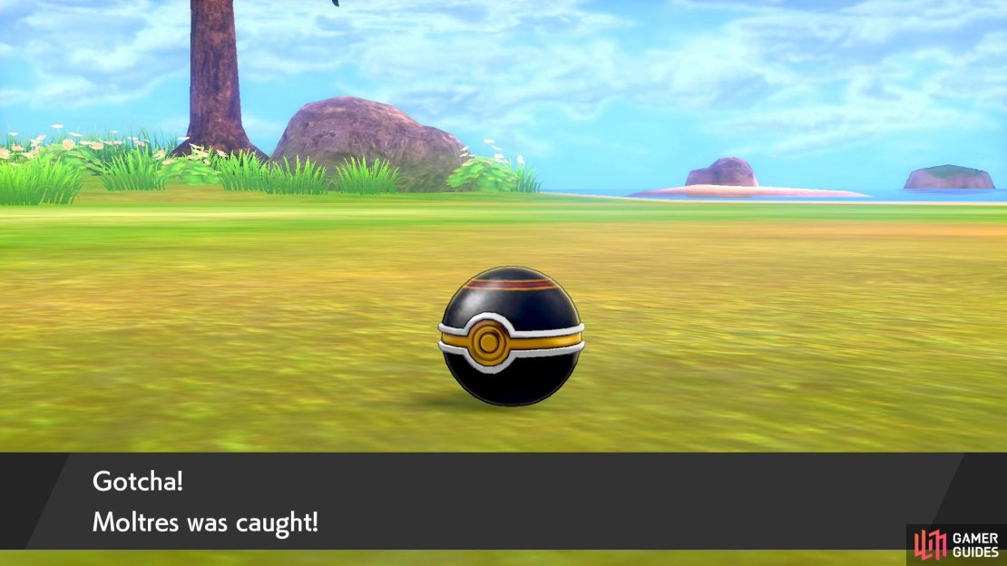 Living the nice-looking Pok&eacute; Ball life can be suffering sometimes.