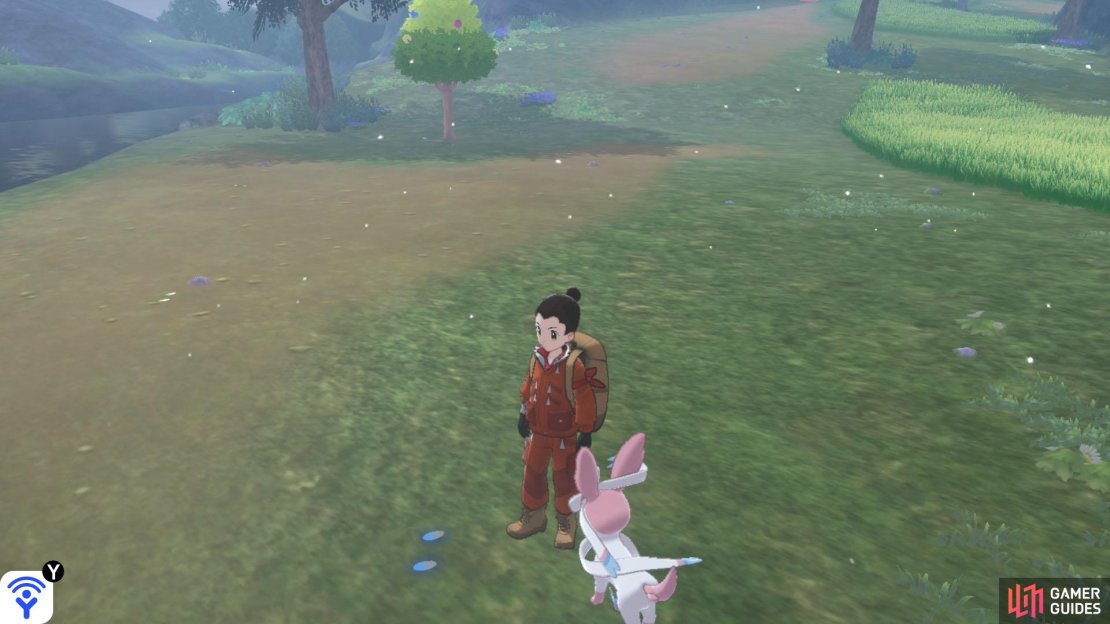 Cobalion&rsquo;s footprints begin from the river along the south side of the Giant&rsquo;s Bed.