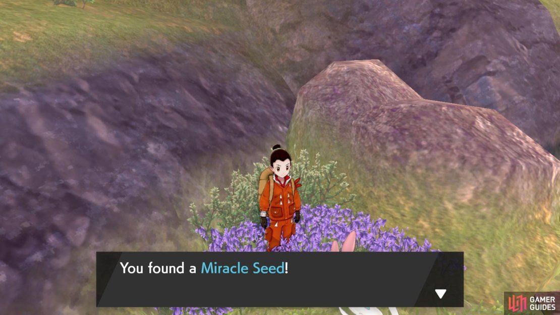 This magical hold item powers up the user&rsquo;s Grass-type moves.