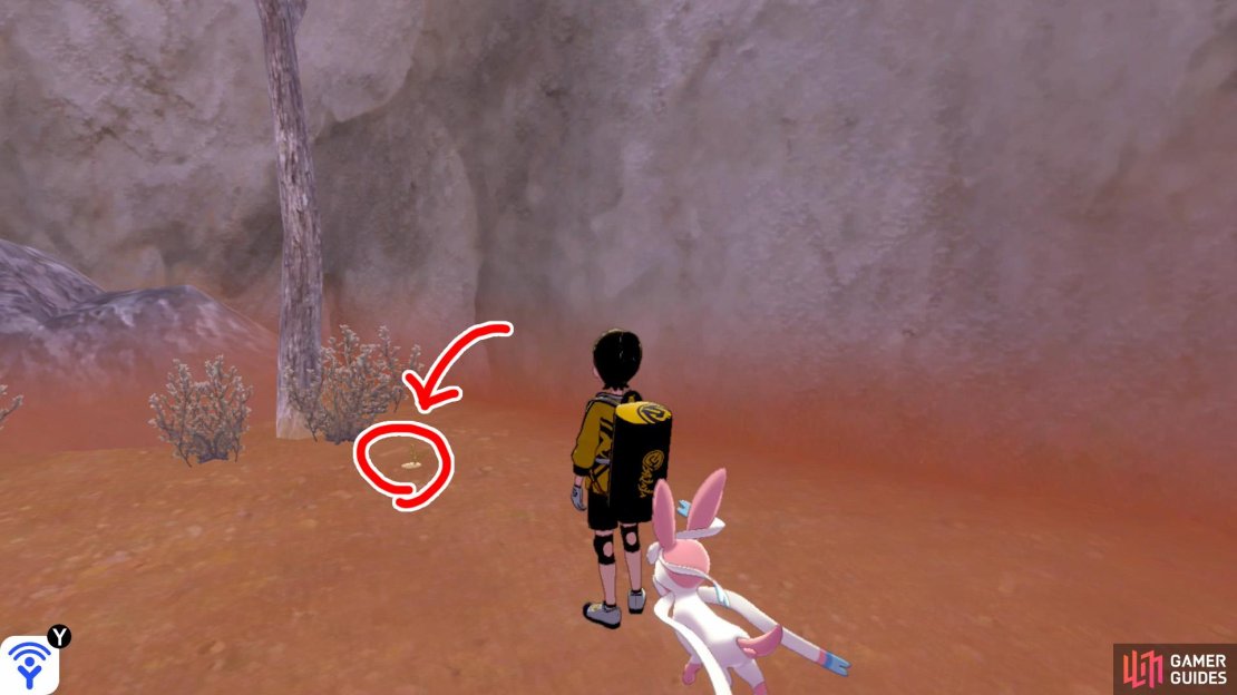 1/10: From the entrance, turn left, while keeping close to the edge of the zone. Nearby, there&rsquo;s a Pok&eacute;mon Den. It&rsquo;s hiding a few paces away from the den, near the tree and cliff wall.