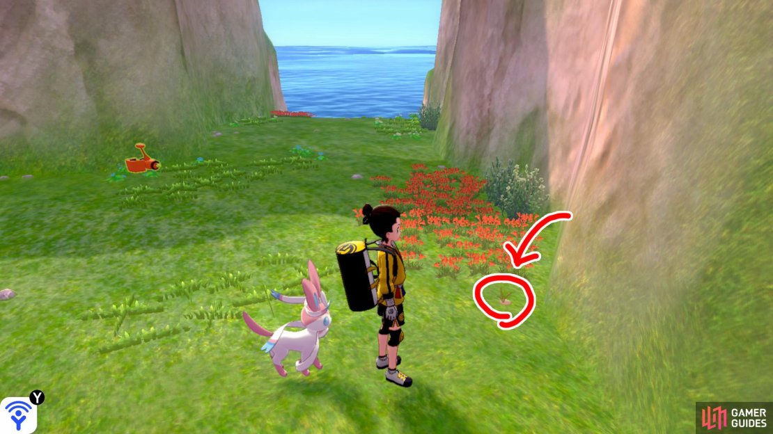 9/11: From Diglett 8, head for the centre of the island, where the Rotom is. It&rsquo;s just below the red flowers on the right.