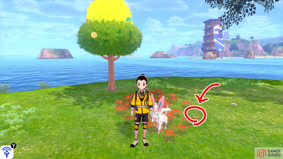 1/7: Start from the Tower of Waters in Challenge Beach. Go to the left of the tower (while facing the tower entrance) and face the ocean. There should be an elongated pair of islands straight ahead. To the right is another island, with two trees. Swim to the second island. Upon arrival, turn right from the shore. The first one&rsquo;s on the right side of the red flowerbed in front of the berry tree.