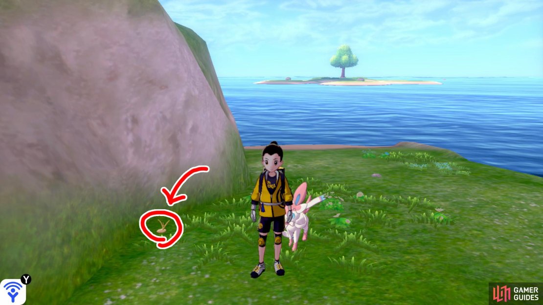 1/3: Start from the Tower of Waters in Challenge Beach. With your back to the entrance, turn left and swim into the water. Go straight ahead, while keeping close to the mainland on the right. When you&rsquo;re parallel to Honeycalm Island, there&rsquo;s a secluded shore. It&rsquo;s burrowed to the right of the Pok&eacute;mon Den here.