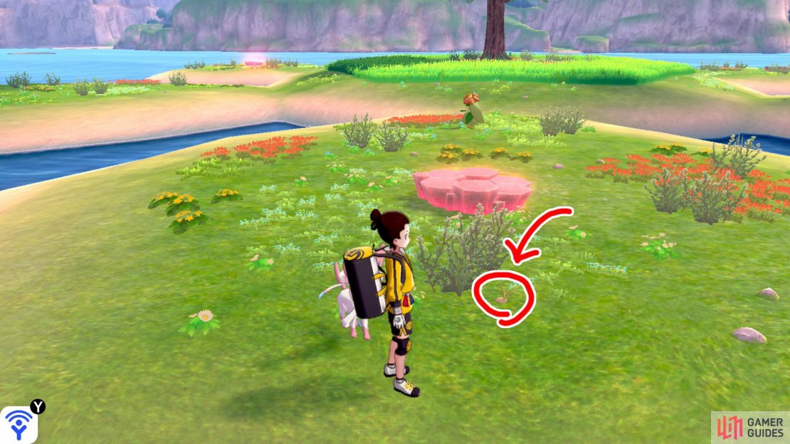 5/11: From Diglett 4, continue to the fourth &ldquo;petal&rdquo;. This one&rsquo;s next to some shrubbery past the Pok&eacute;mon Den, away from the island&rsquo;s centre.