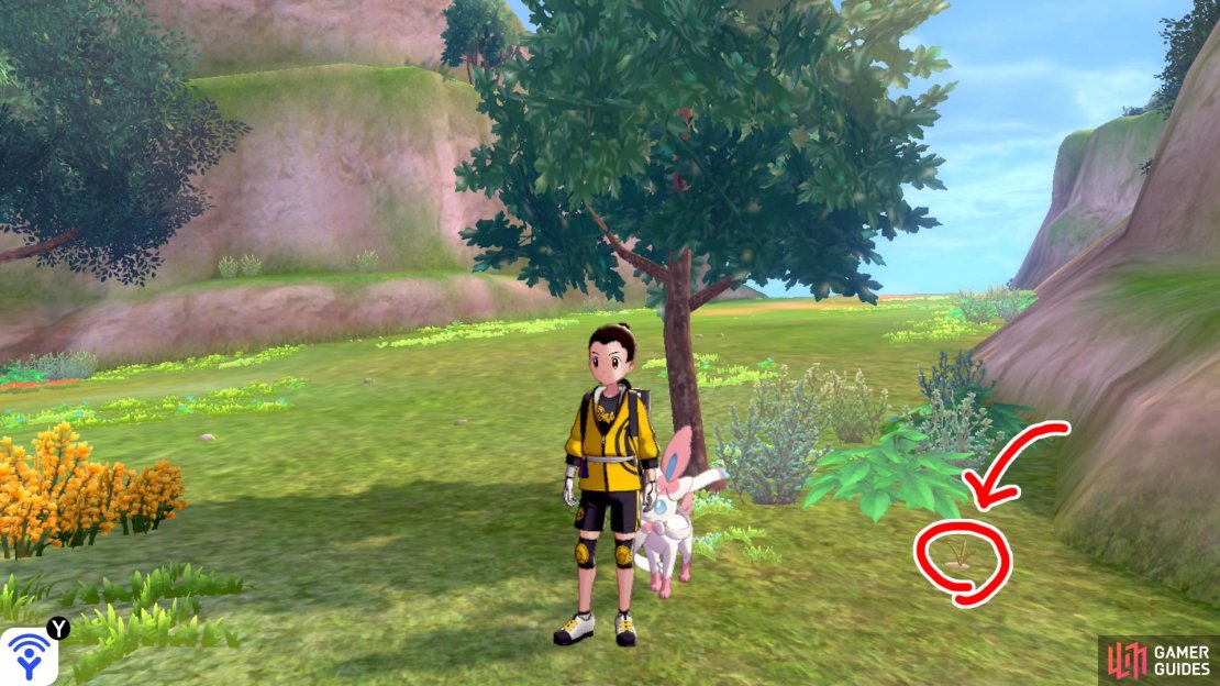 1/20: Next to skinny tree immediately on the left of the entrance (via the Fields of Honor).