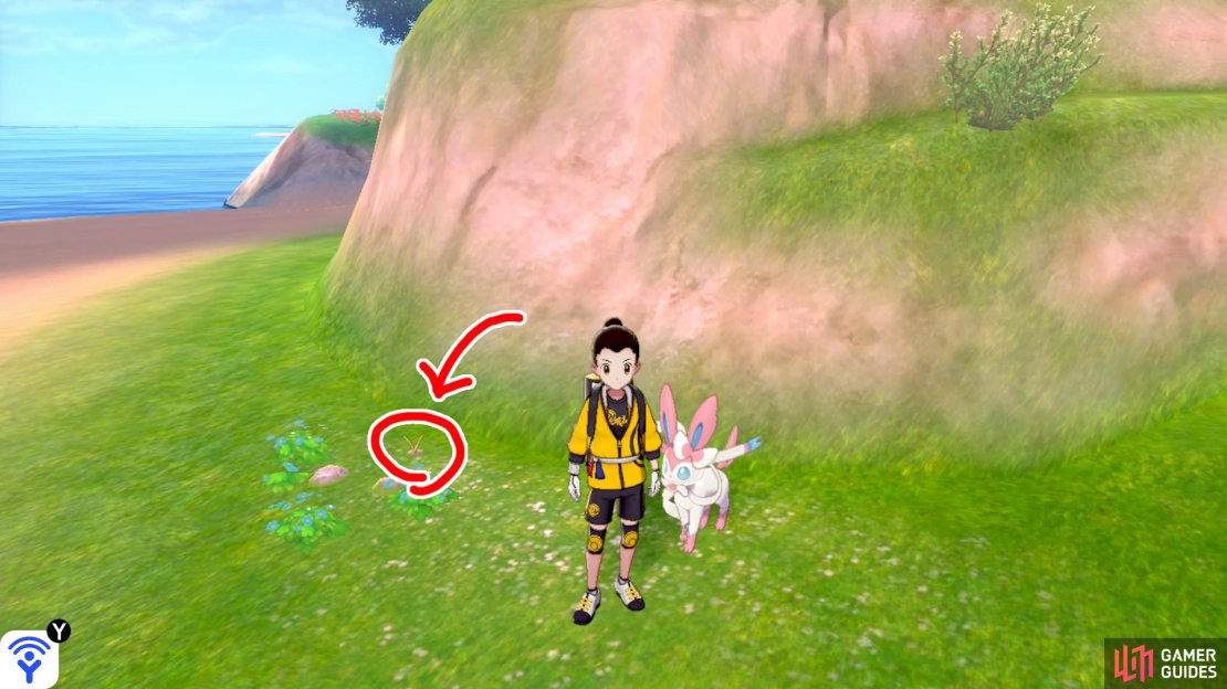 1/9: Starting from the Forest of Focus entrance, go forwards towards the rocky hill. It&rsquo;s hiding around the back of this hill, near some pebbles.