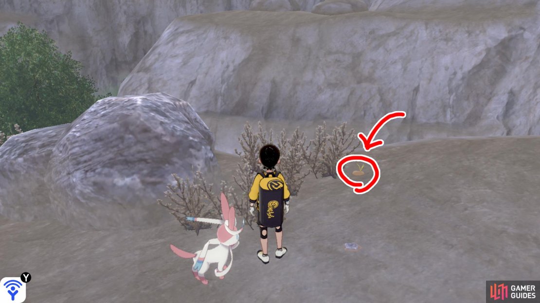 1/8: Starting from the Training Lowlands, go up the first flight of stairs. It&rsquo;s sitting comfortably next to the vegetation past the boulder on the left.