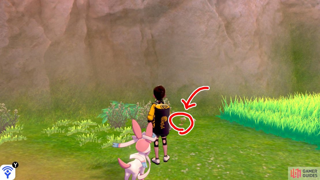 1/7: From the Courageous Cavern entrance, approach the tall grass on the left side. By some pebbles just before the tall grass, near the cliff wall.