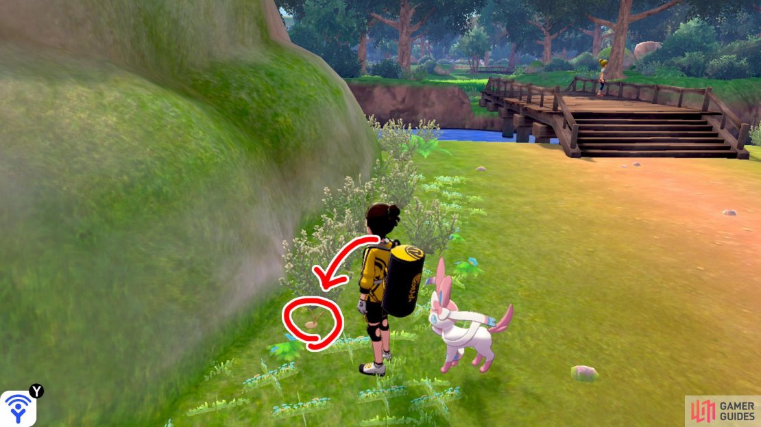 1/15: Starting from the Forest of Focus, immediately after crossing the bridge, it&rsquo;s hidden near the tip of the first bunch of bushes along the right.