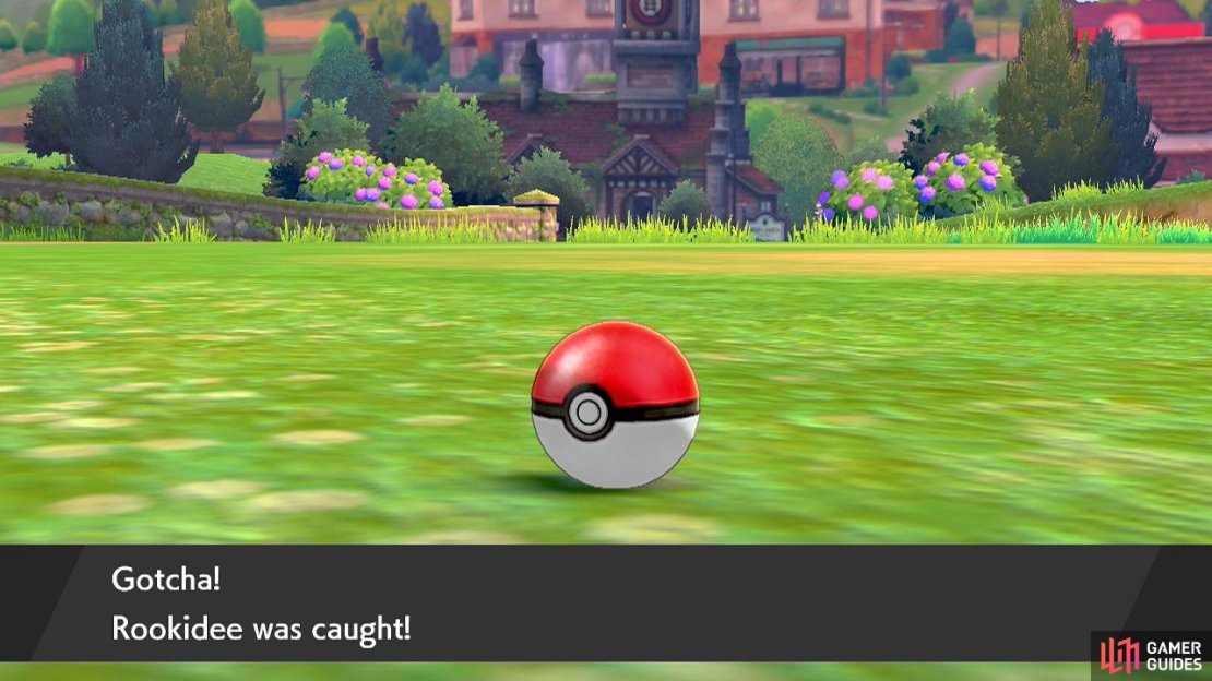 After catching a Pok&eacute;mon, you can give them a cool or silly nickname.