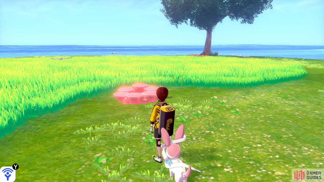 On the island with a single tree. Next to the tall grass, on the side that&rsquo;s facing the mainland.