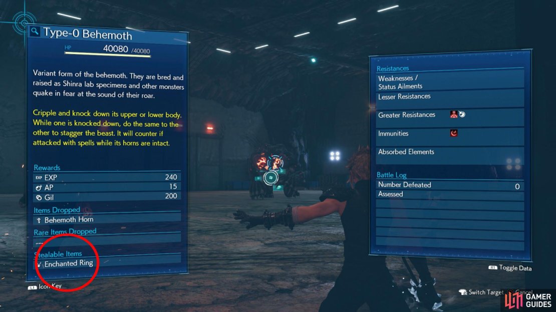 Be sure to steal the Enchanted Ring if you have Steal set