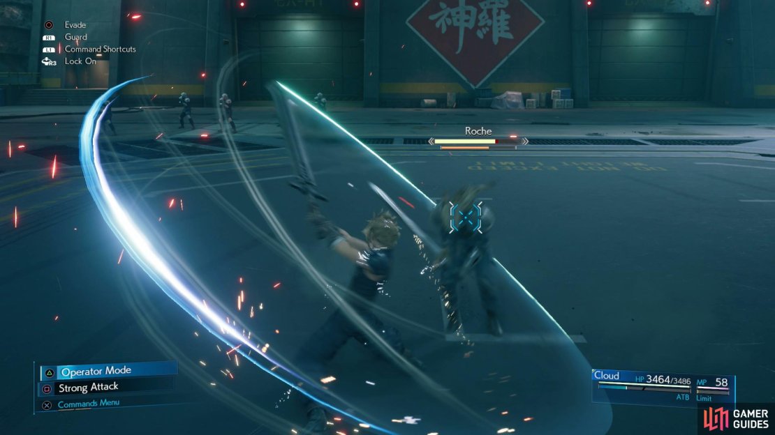 Use Punisher mode to block and counter Roche&rsquo;s attacks.