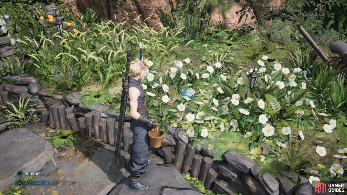 Pick some flowers before heading back to the slums.