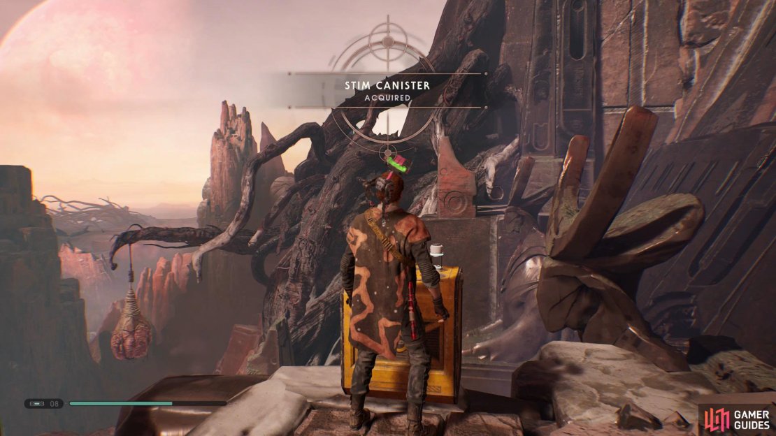 Progress through the Nightmare Ruins and you&rsquo;ll find a golden chest at the end that contains the seventh Stim Canister. 