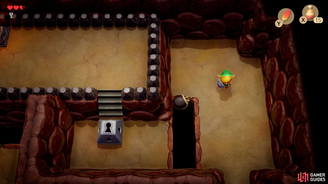 Head to the upper section of the area where you found the Rupees earlier and push the Hardhat Beetle into the pit,