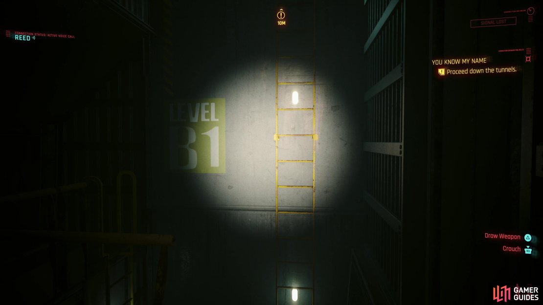 Jump a gap to reach a distant ladder,