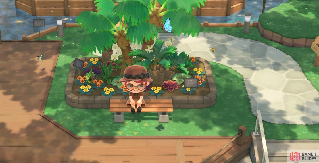 Don&rsquo;t forget to donate your newly found bugs to Blathers&rsquo; museum.