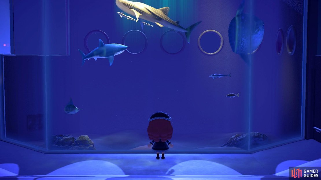 Don&rsquo;t forget to visit all the fish you donate to the museum.