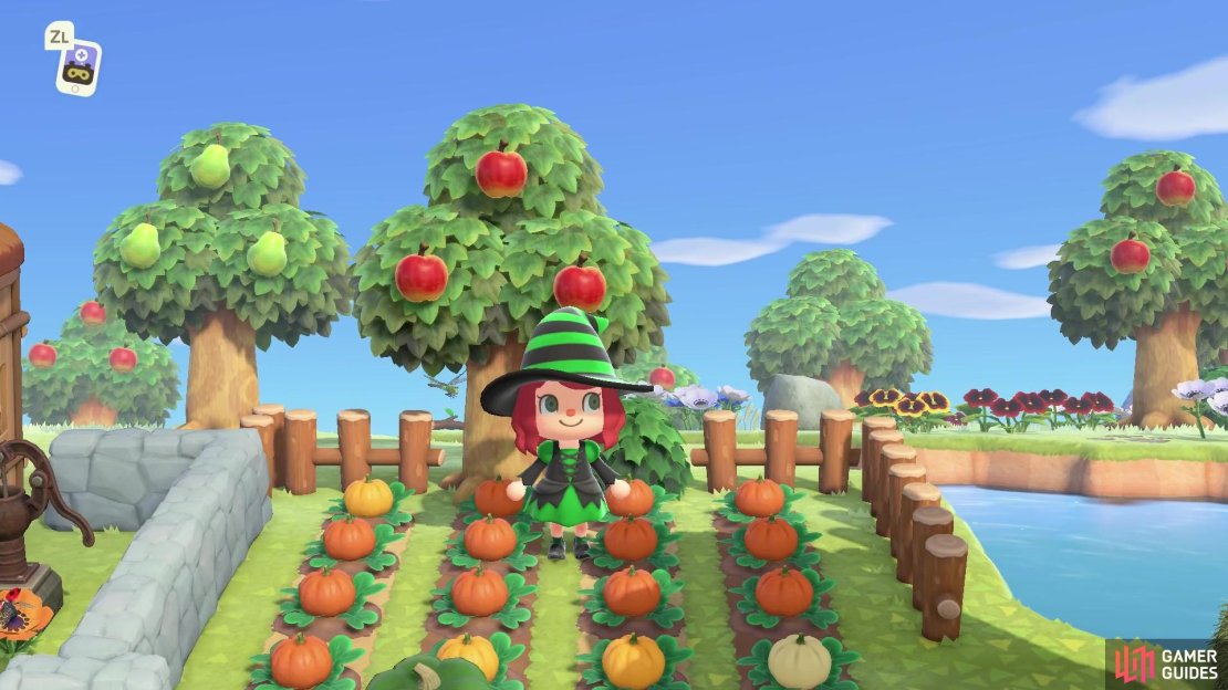 It&rsquo;s time to plant some pumpkins ahead of Halloween!
