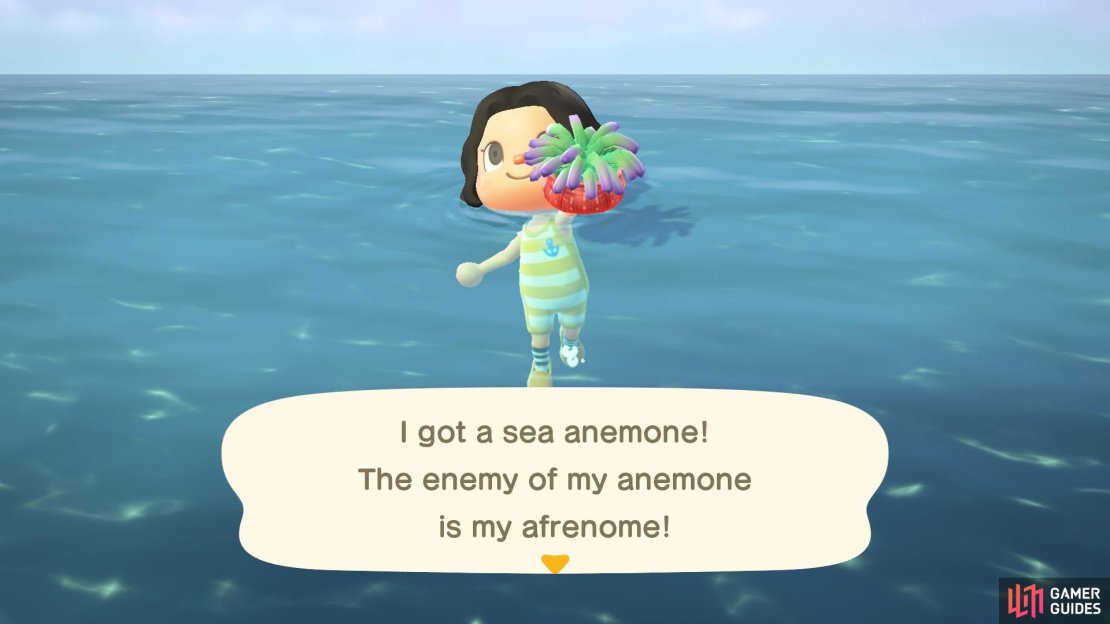 Sea Anemones are easy to catch because they won&rsquo;t swim away.