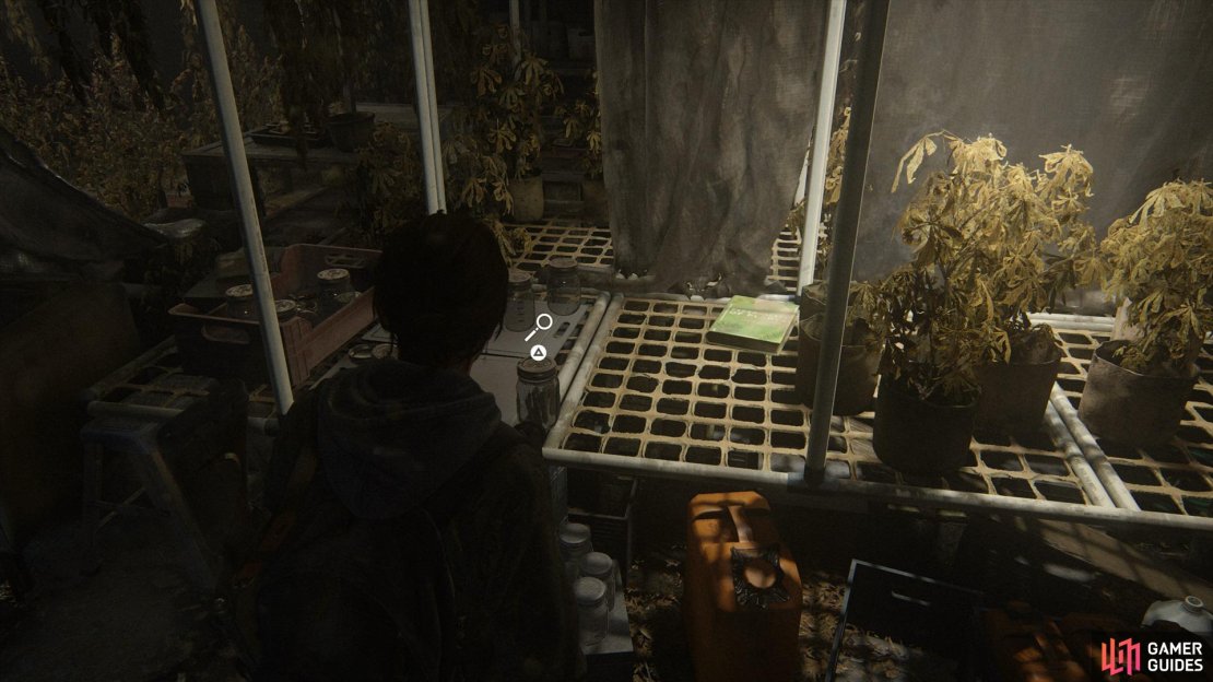 Follow the trail of light under the floor and then move the bookshelf to find an underground Weed Farm, here you&rsquo;ll want to interact with the join in the center to view a cutscene. 