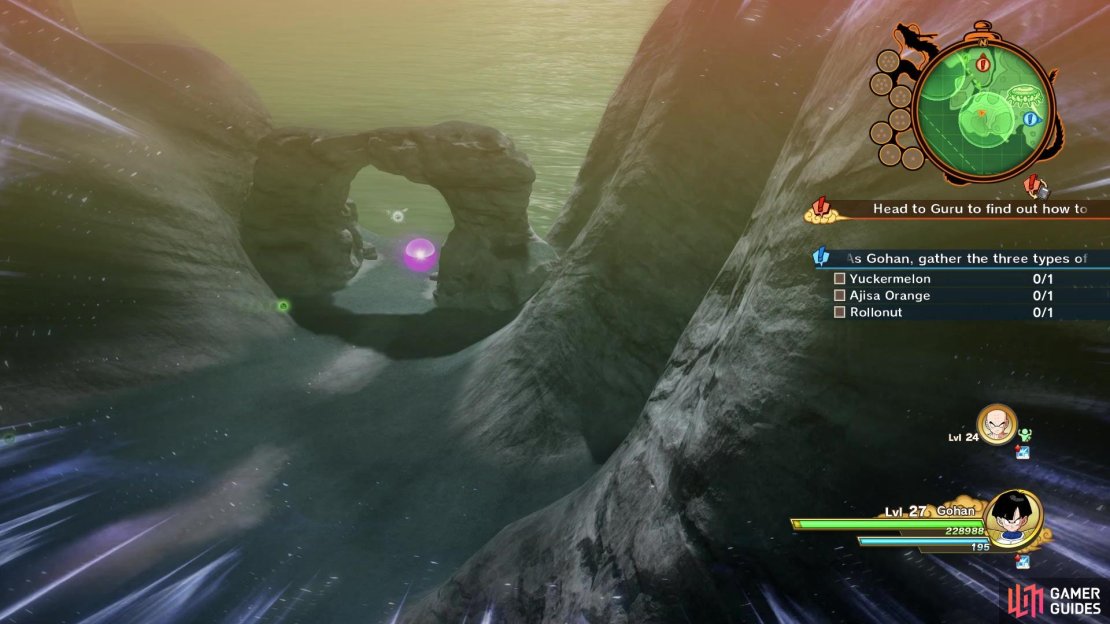 The location of the Yuckermelon