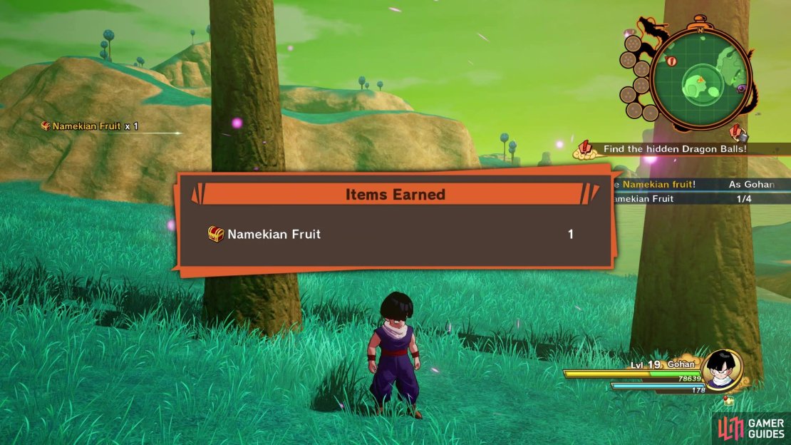 The location of one of the fruits
