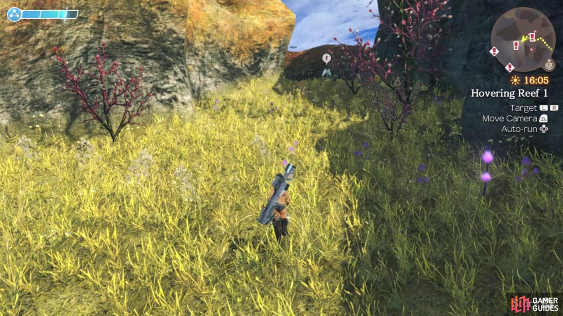 The location of Mir&rsquo;leiz for Bring Back My Son!
