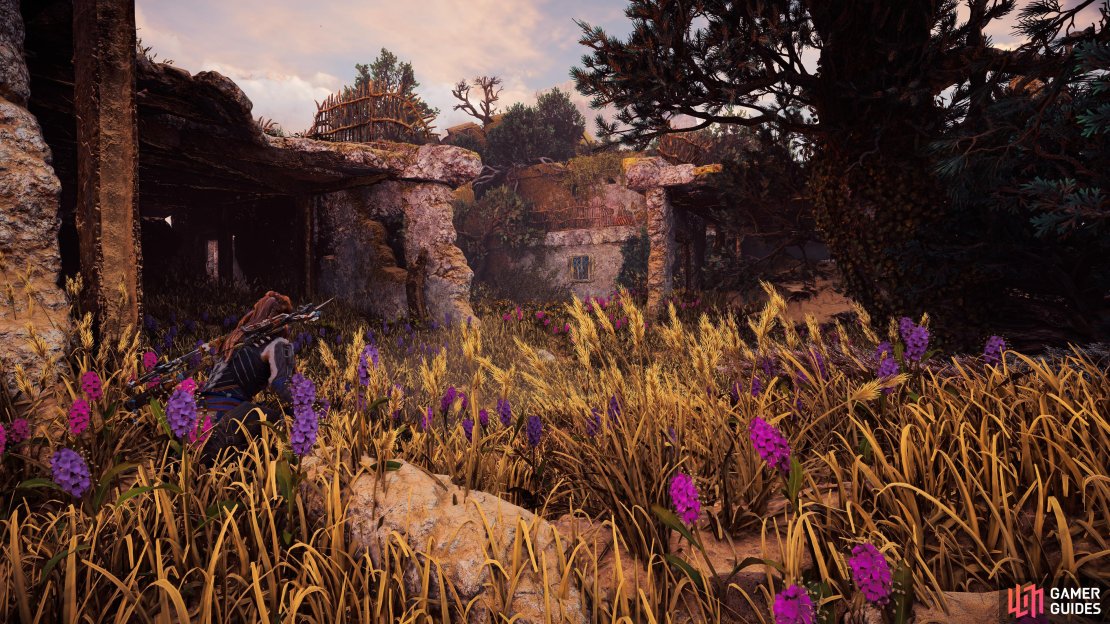 Aloy inspects the No Man&rsquo;s Land Relic Ruin