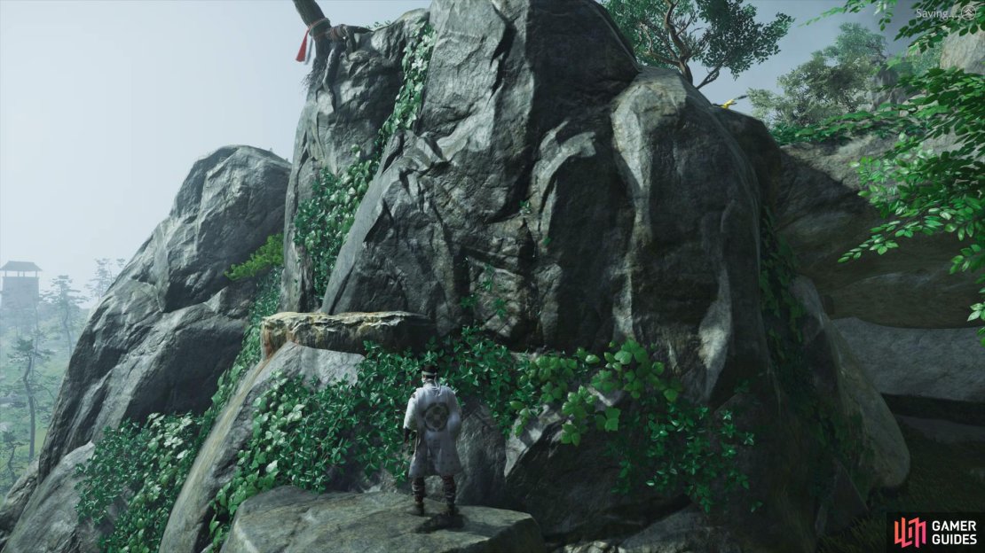 Climb up to the area above