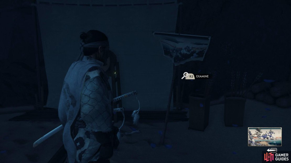 Grab the Painting from inside the cave 