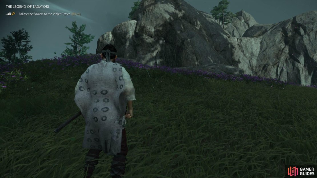 Head East of Kii&rsquo;s Pond to find a Cliff with Violet Flowers