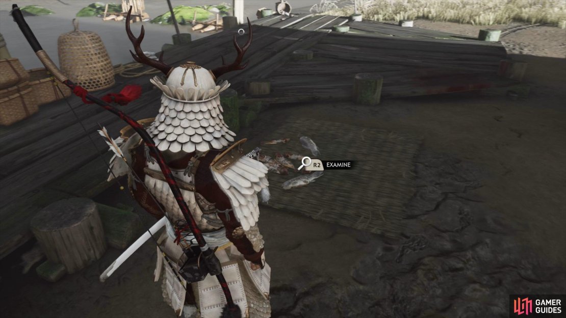 Examine the docks