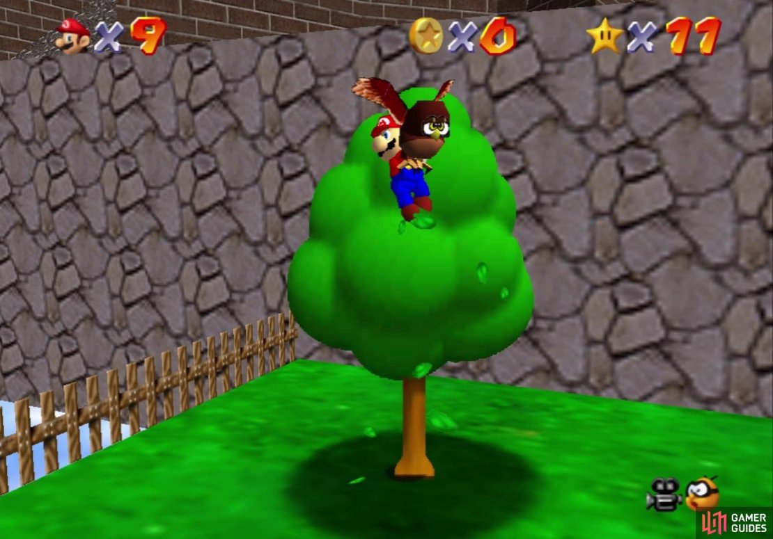 Climb the tree at the beginning to release the owl