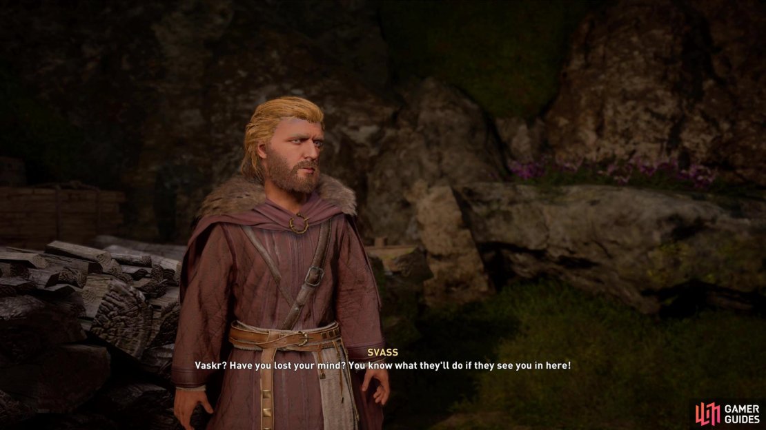 Vaskr is reunited with Svass in the shelter.