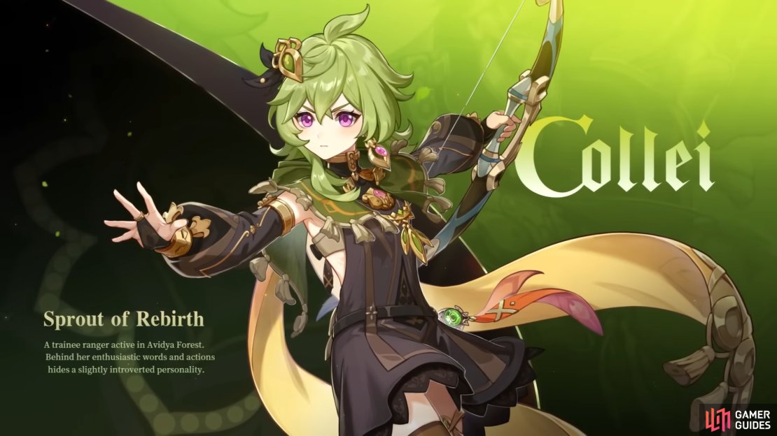 Collei&rsquo;s official introduction card.