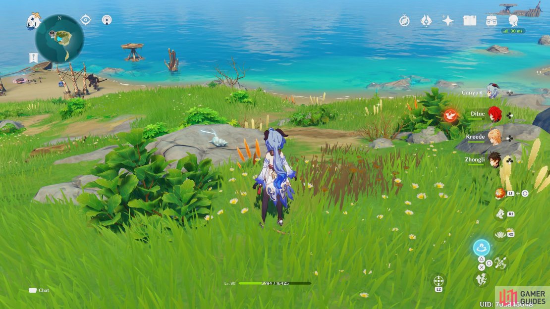 Echoing Tale 10: This Tale can be found on the island east of the central island, on top of a rock on the western side.
