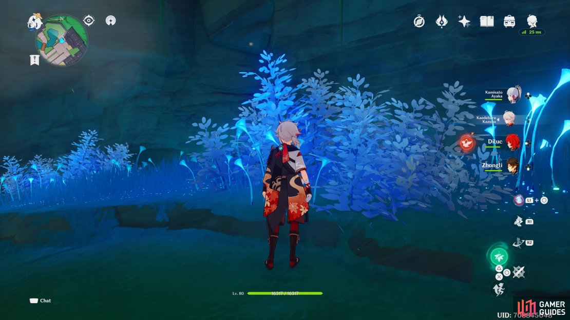 You&rsquo;ll find the first Conspicuous Wall behind this flora. 