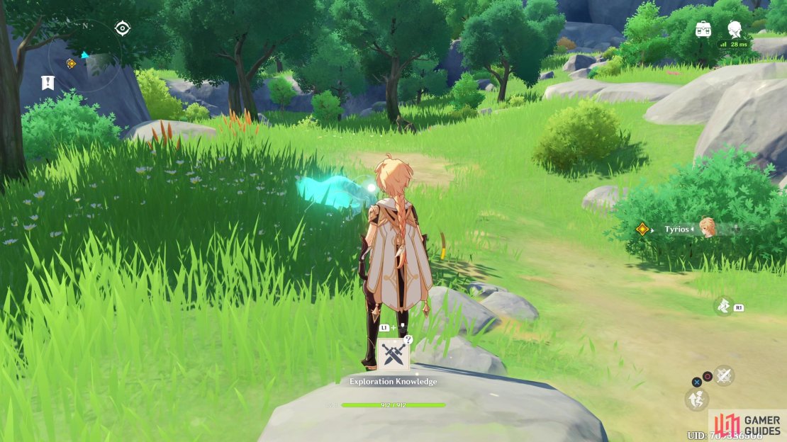 Approach the Mysterious Seelie who will fly off ahead.