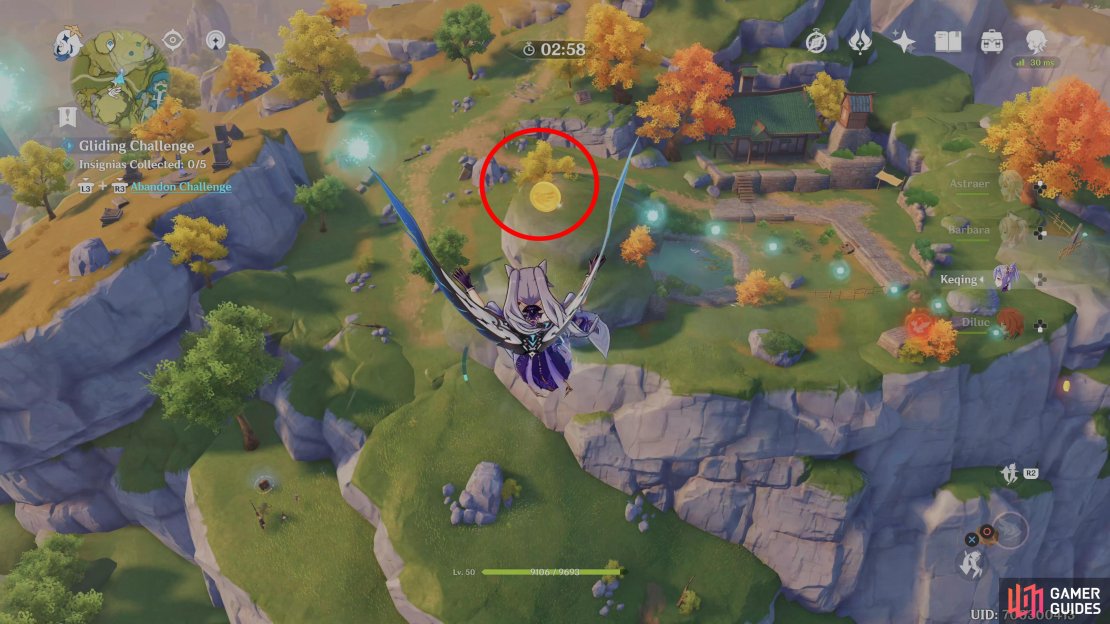 The 1st Insignia can be found just after the first ring