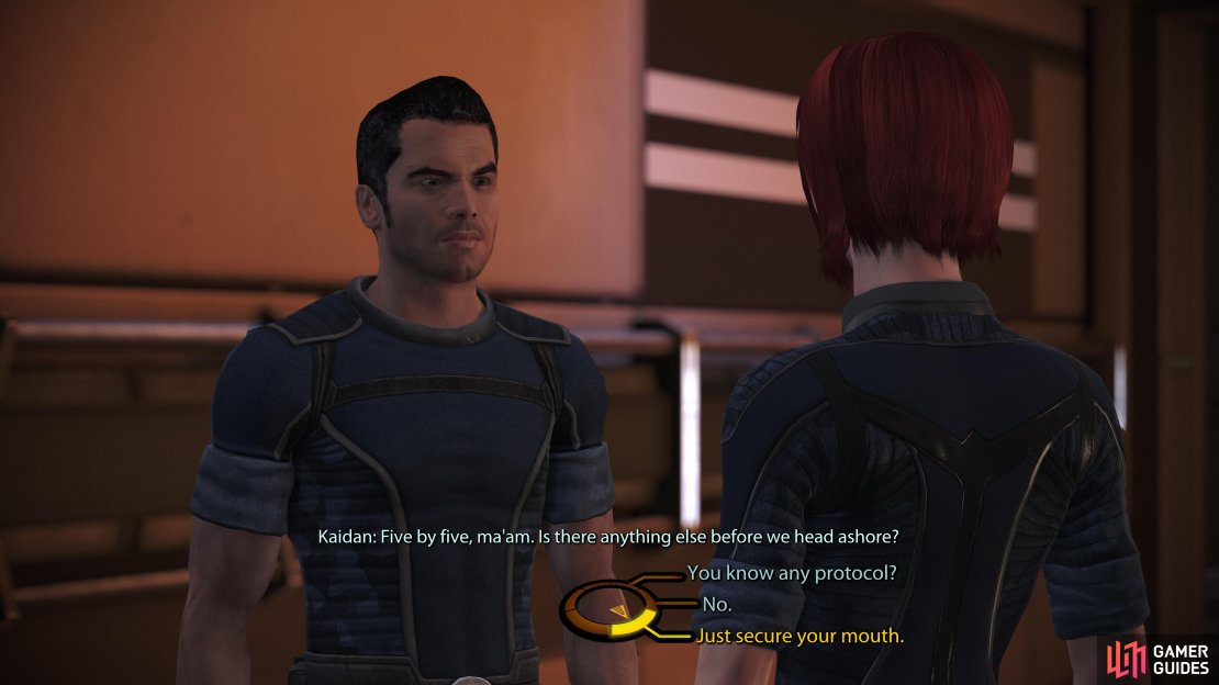 On the Normandy, you&rsquo;ll have the opportunity to talk to your crew,