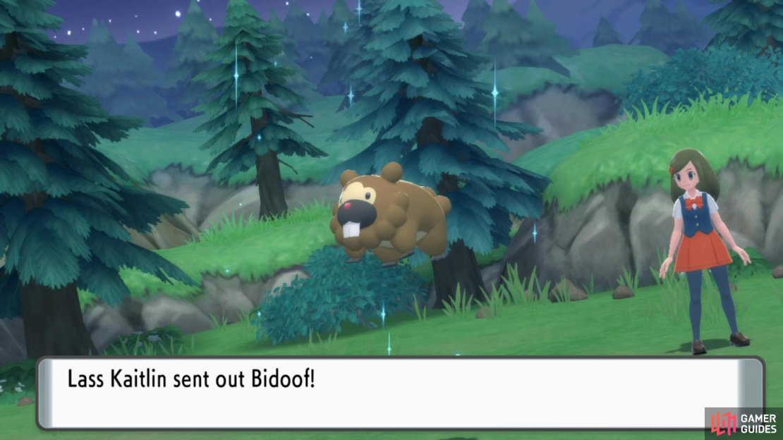 Kaitlin sends out Bidoof.