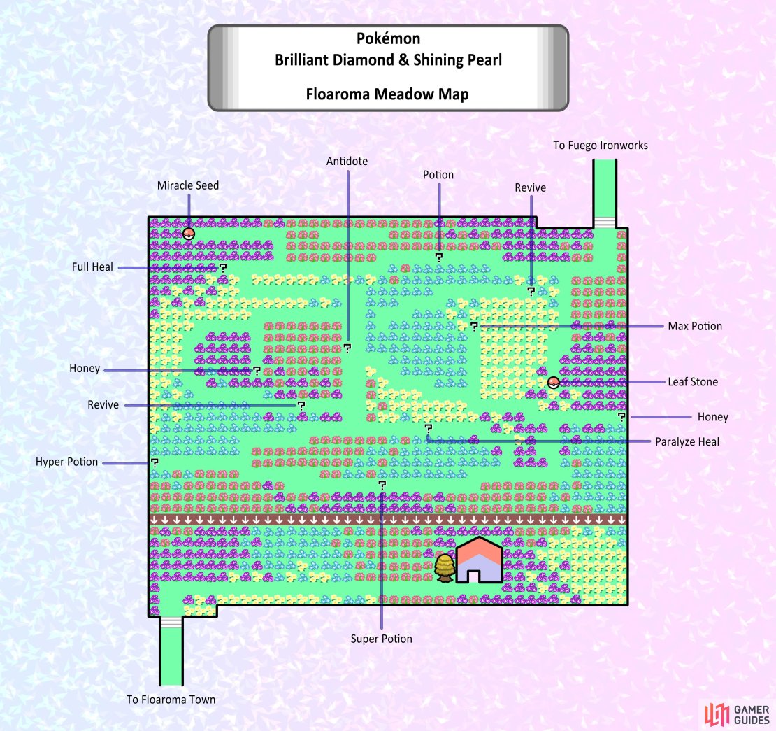 Floaroma Meadow hidden items map.