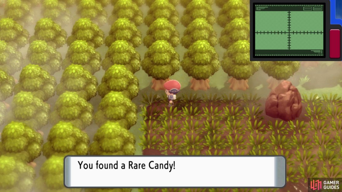 Hidden Rare Candy in Area 1.